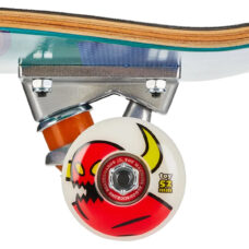 TM Monster Flex 8 1