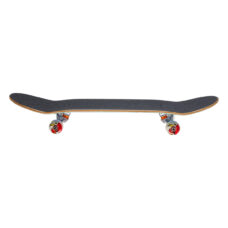 TM Monster Flex 8 2